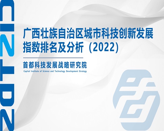 屄屄无码视频【成果发布】广西壮族自治区城市科技创新发展指数排名及分析（2022）